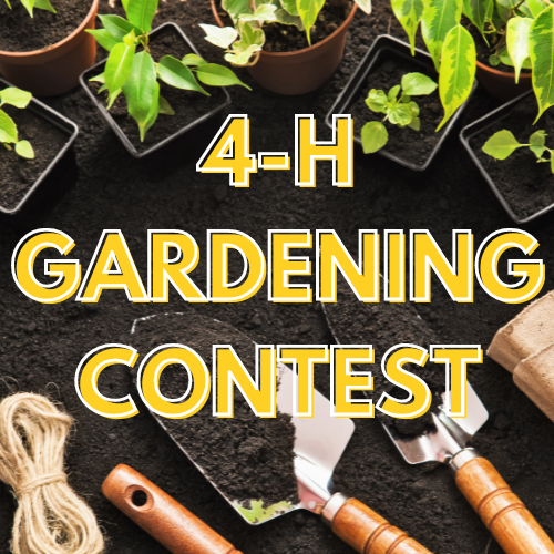 4-H Gardening Contest